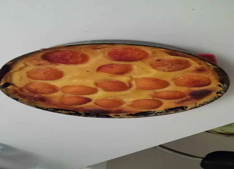Flan aux abricots maison