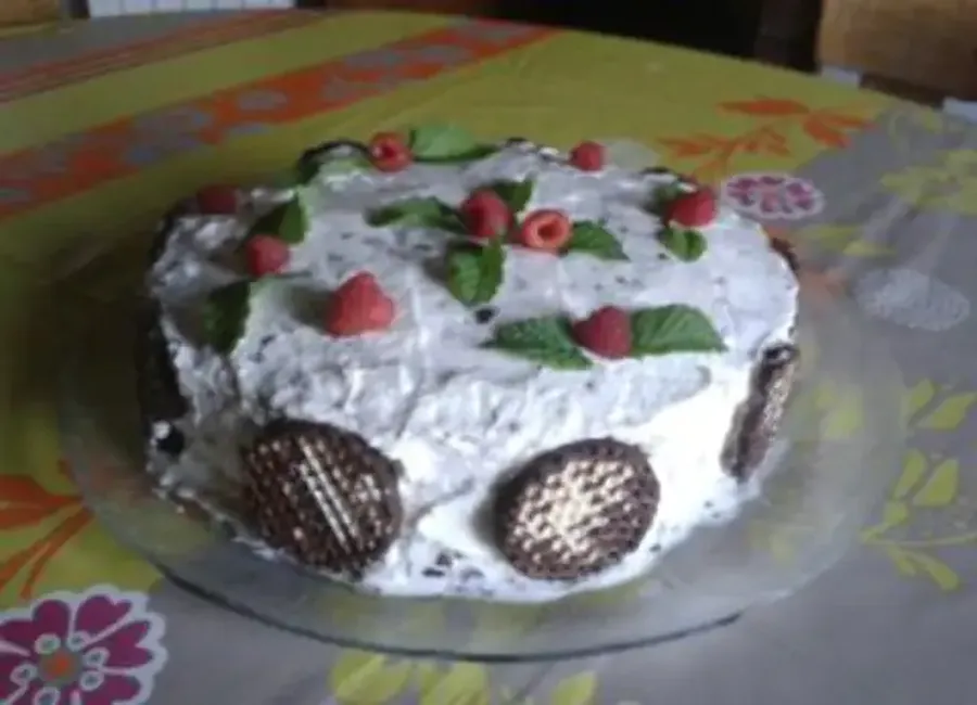 Gâteau framboises et têtes de choco (anciennement têtes de nègre)