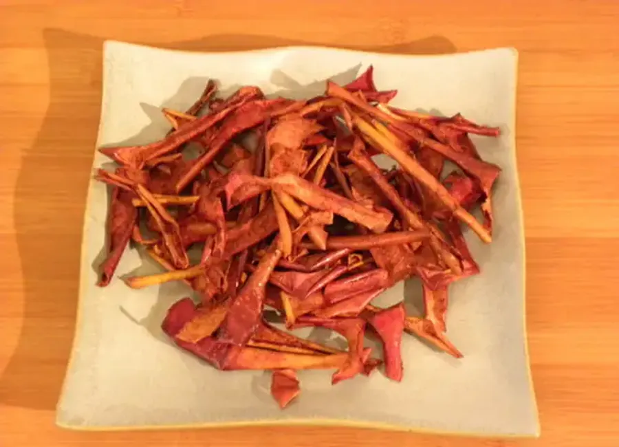 Epluch'pommes (ou l'art d'utiliser les épluchures de pommes)