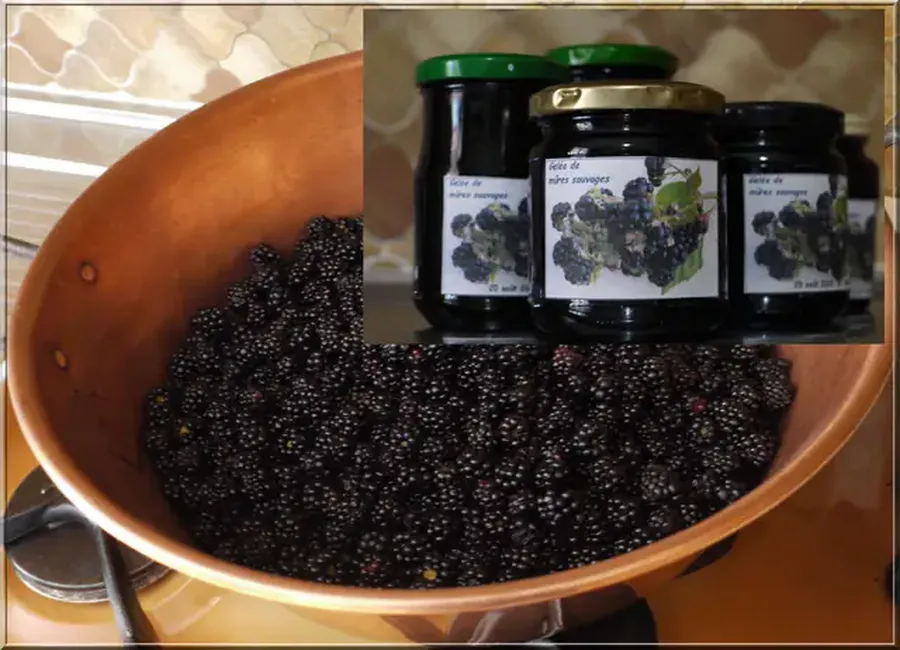 Gelée de mûres à l'ancienne