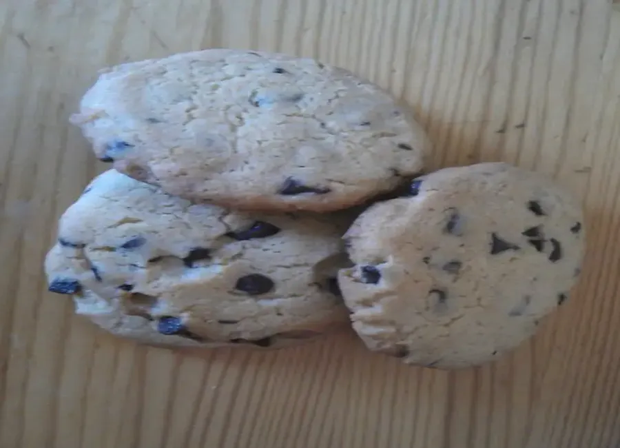 Cookies aux raisins et chocolat