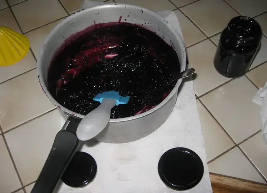 Confiture de sureau
