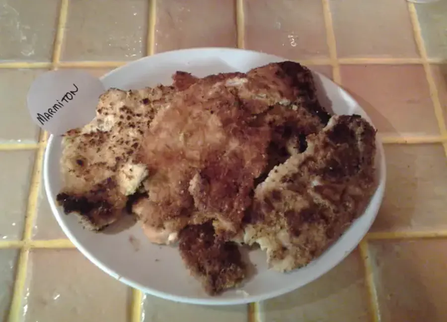 Escalope de dinde panée de aude