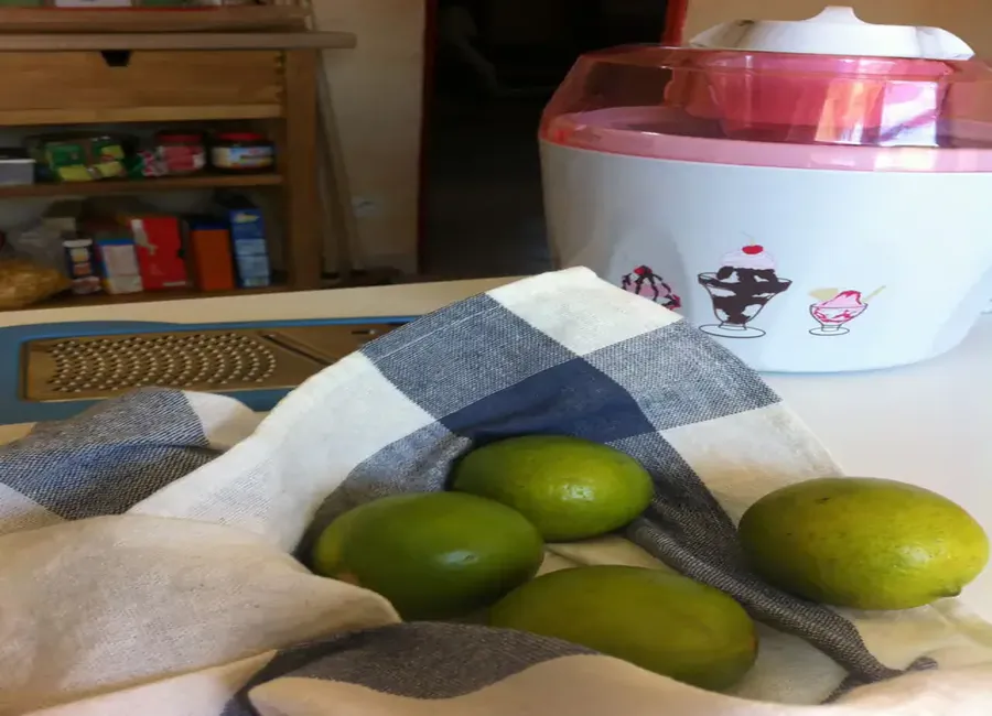 Citron vert en sorbet