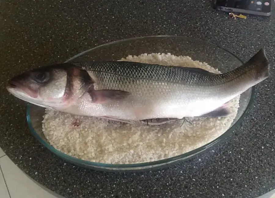 Loup (bar) au gros sel