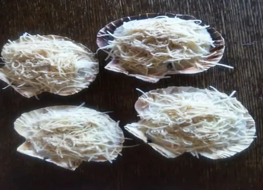 Coquilles de poisson