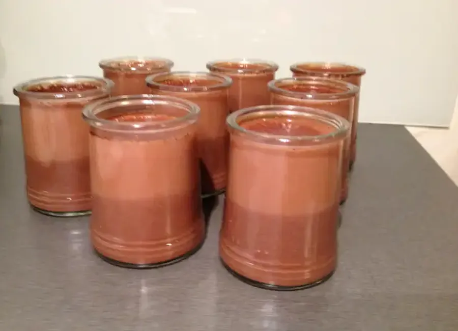 Panccotta au chocolat et lait de soja