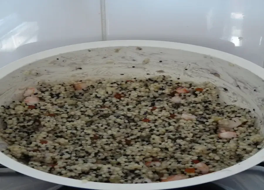 Salade de perles aux oeufs marins