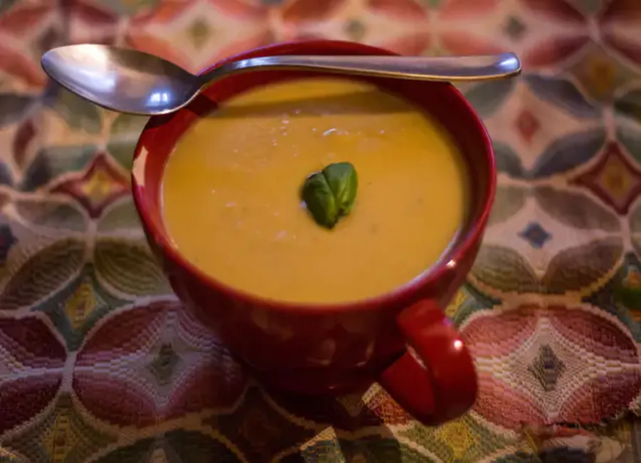Velouté de lentilles corail, fenouil et lait de coco