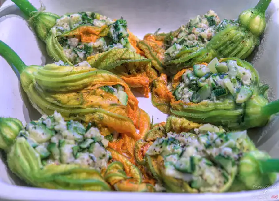 Fleurs de courgettes farcies aux herbes
