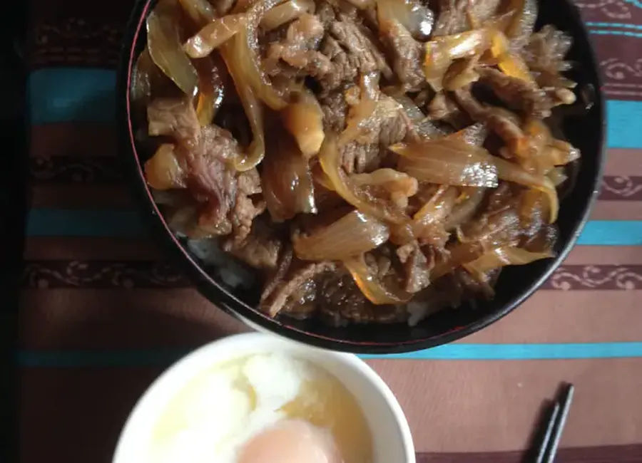 Gyudon japonais