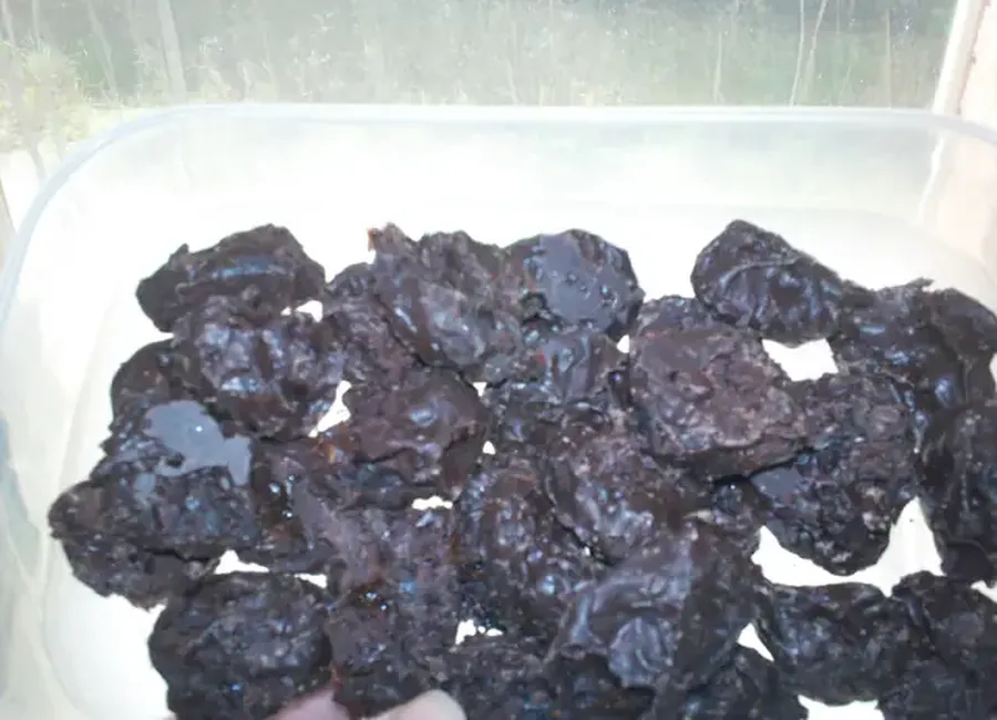 Pruneaux enrobés de chocolat