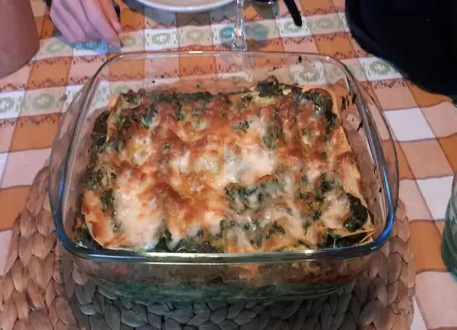 Lasagnes aux épinards, saumon fumé et ricotta