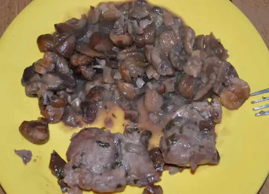 Sots l'y laisse marrons et champignons