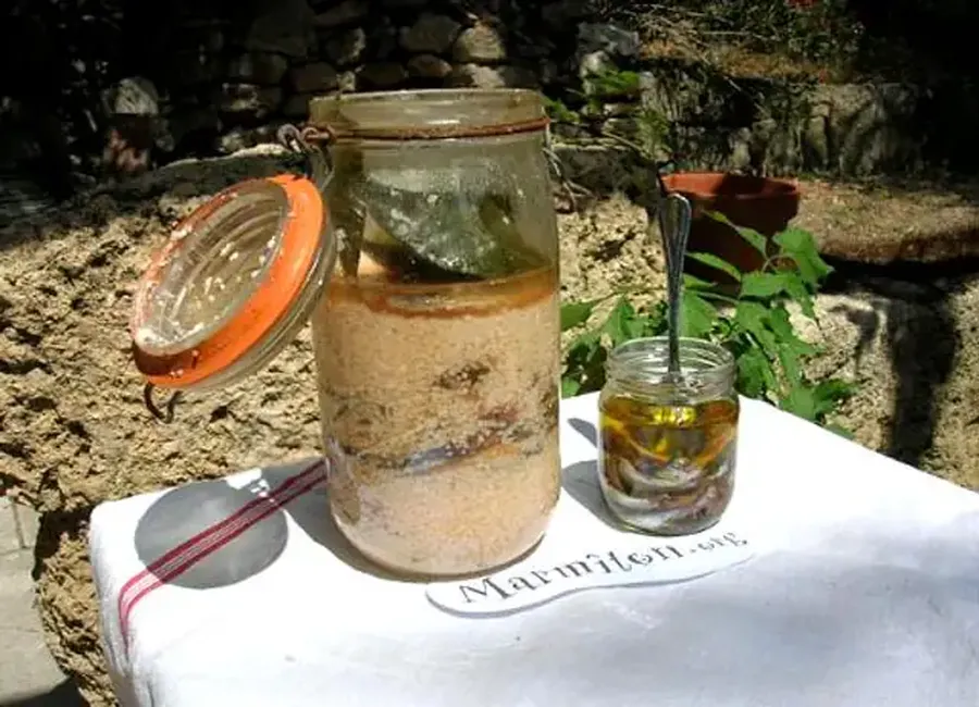 Anchois en conserve à l'huile