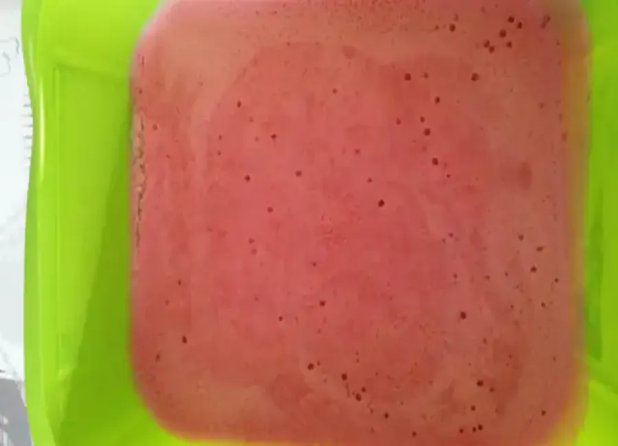 Glace à la fraise light