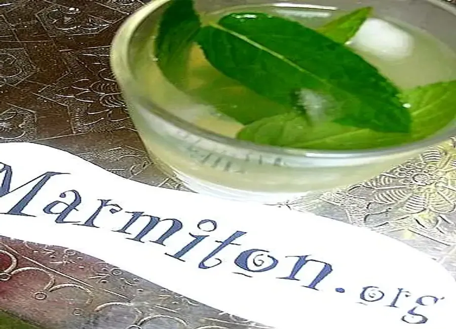 Jus de citron à la menthe fraîche