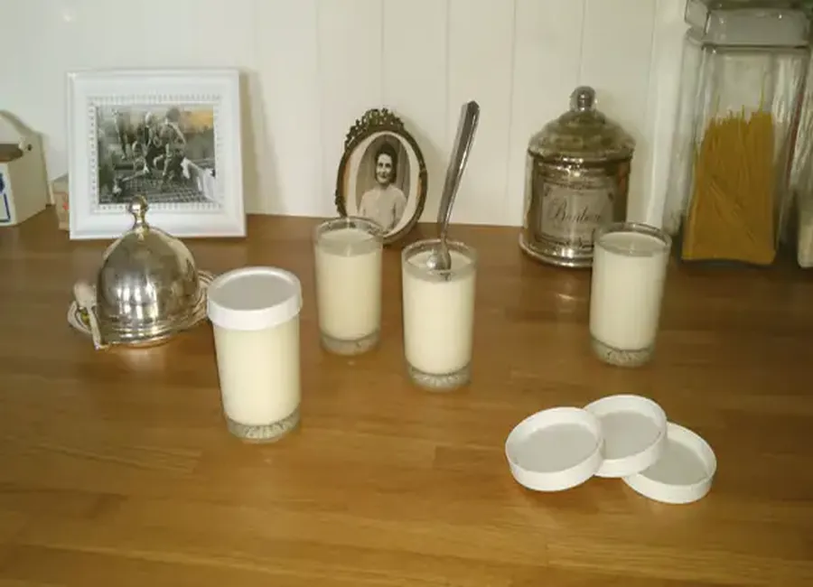 Yaourts au lait de coco
