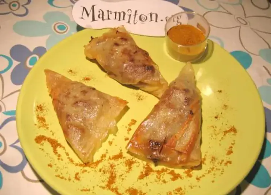 Samoussa au boeuf (façon coco)