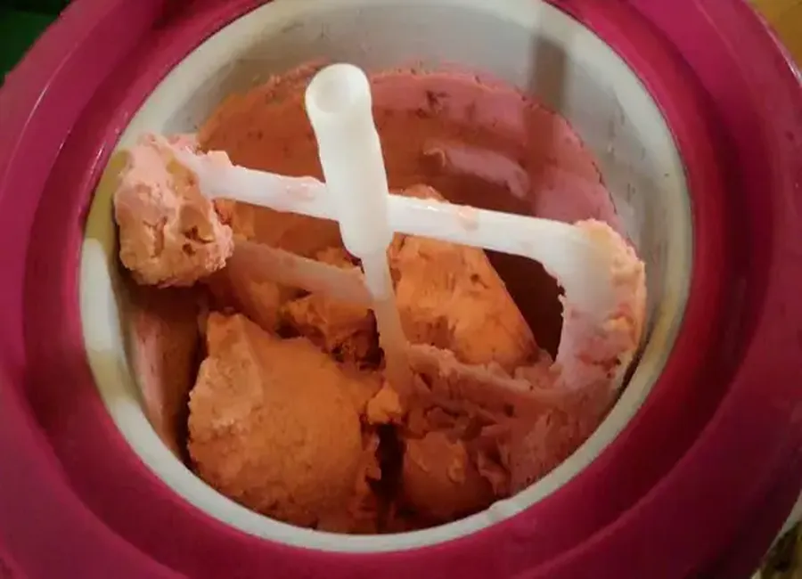 Yaourt glacé framboise menthe