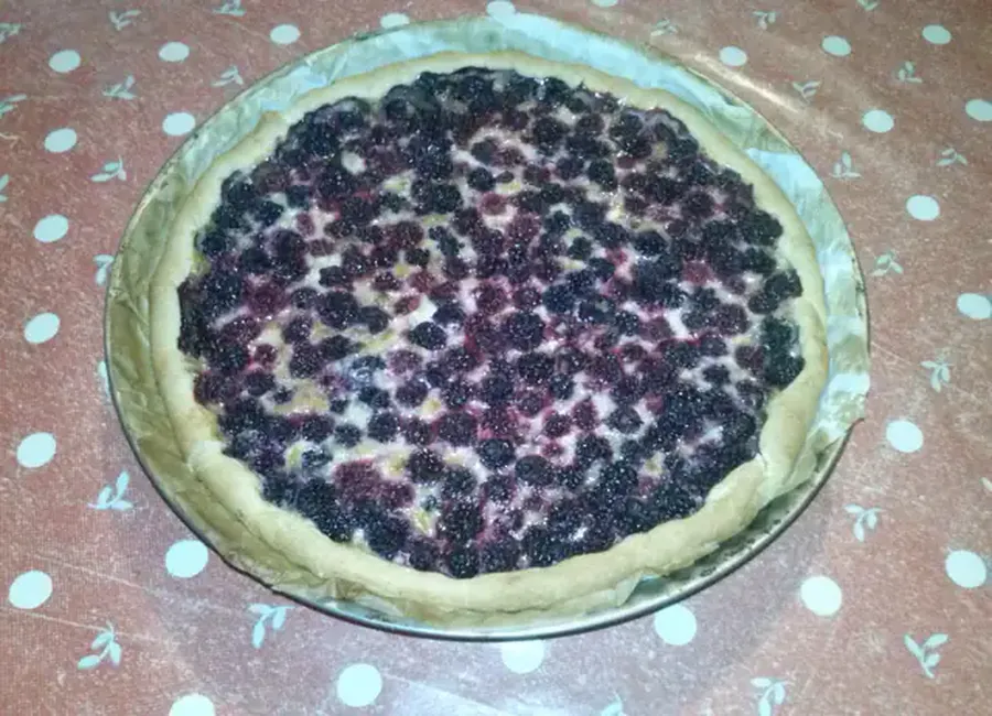 Tarte aux mûres et pain d'épices