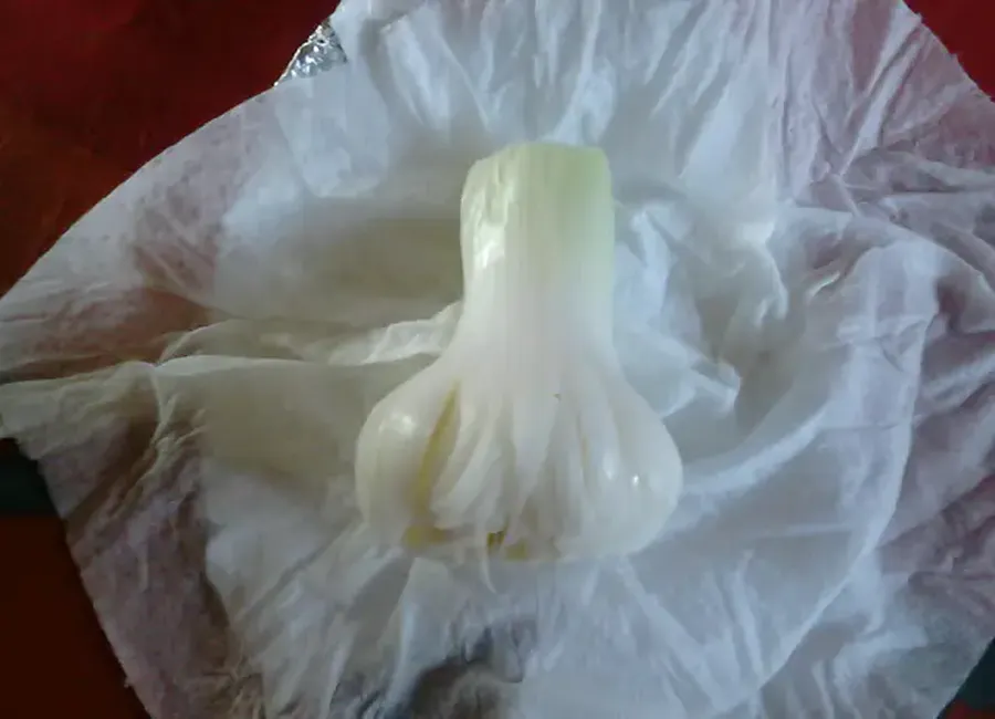 Oignons blancs nouveaux confits au sel
