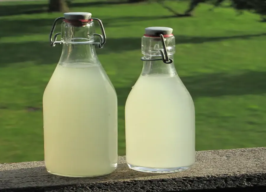 Limonade artisanale