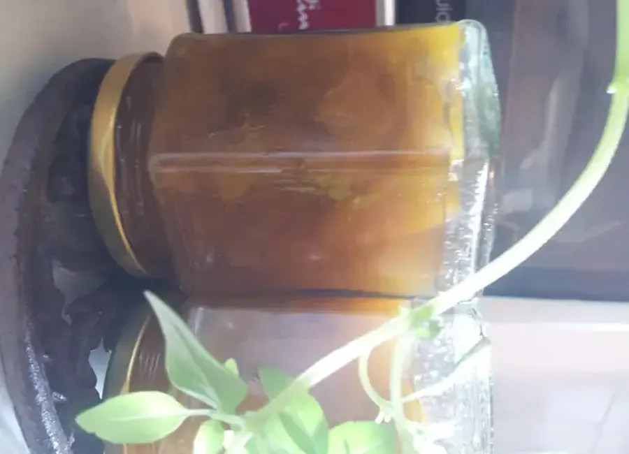 Confiture de reine-claudes rapide