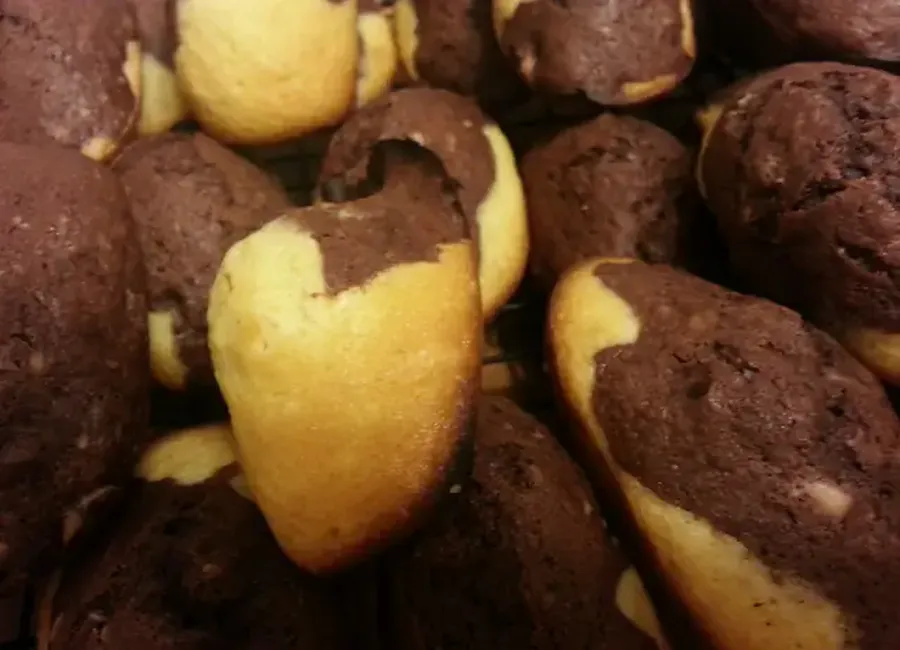 Madeleines au chocolat et à la vanille