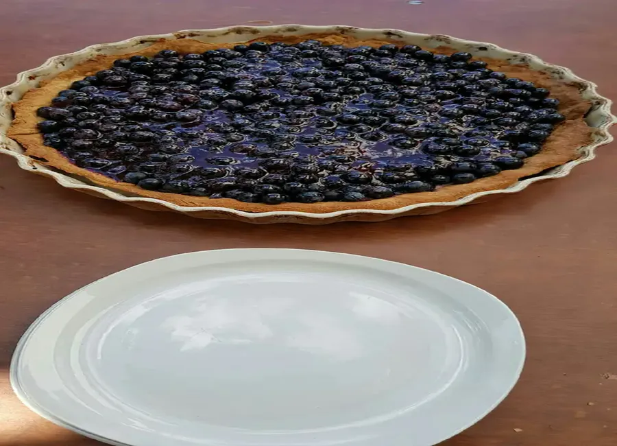 Tarte fondante raisins amandes