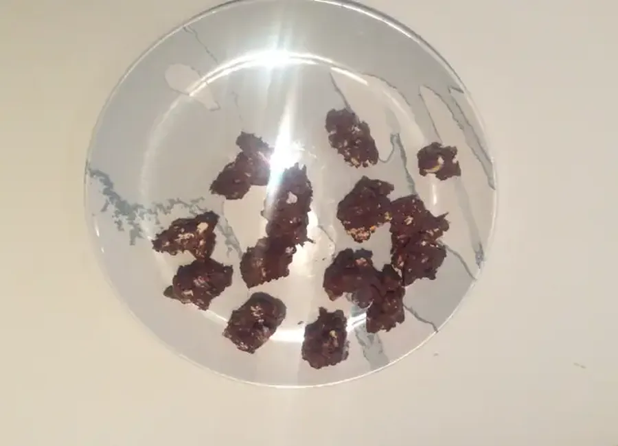 Chamallows au chocolat