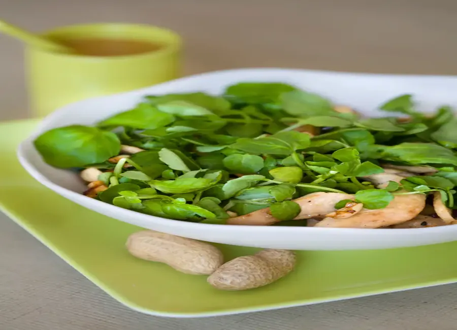 Salade de poulet à la vietnamienne