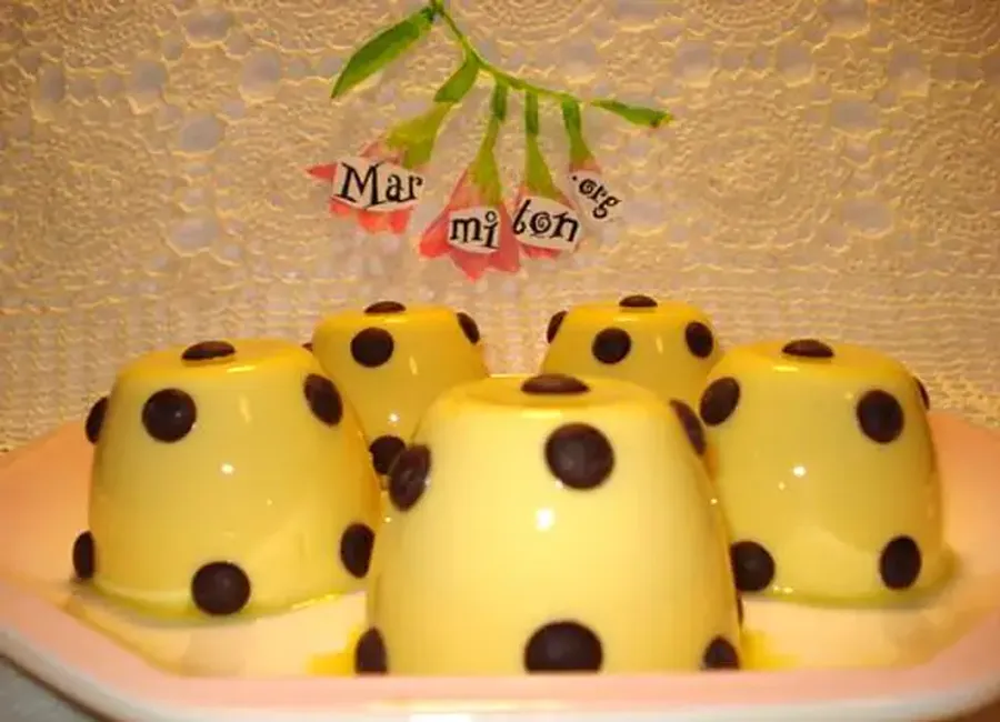 Panna cotta facile