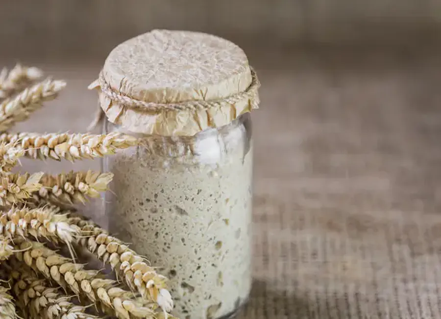 Levain