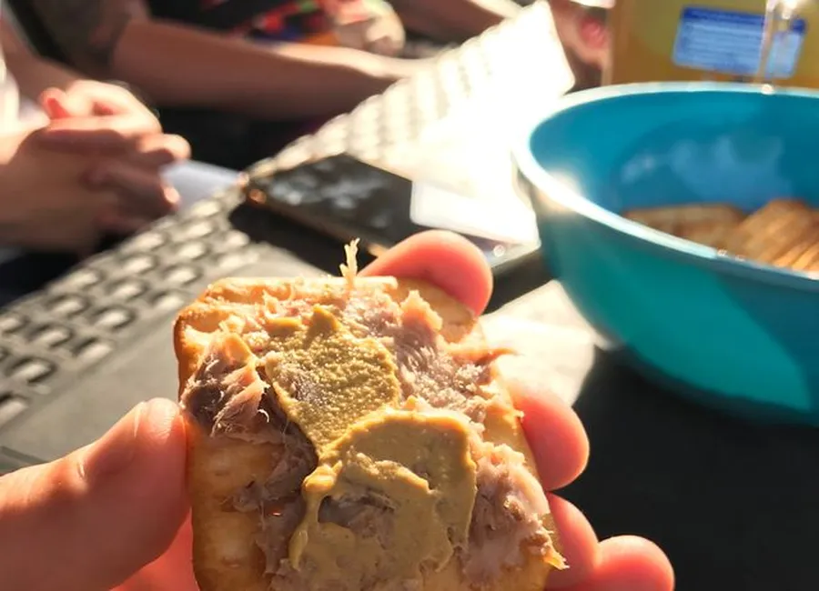 Délice de l'apéro aux rillettes