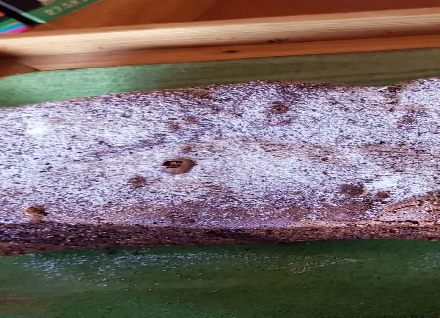 Gâteau au chocolat, amandes & noisettes