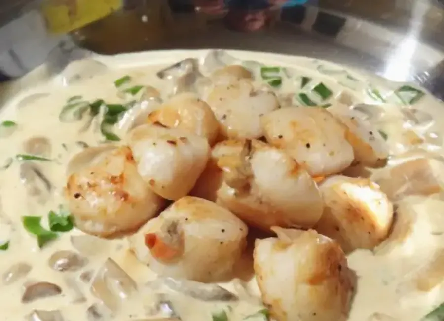 Coquilles saint jacques à la crème