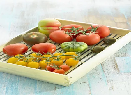 Barbue andalouse à la tomate