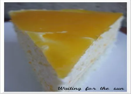 Bavarois orange mangue
