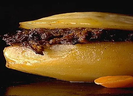 Braisière de pomme de terre farcie à la queue de boeuf