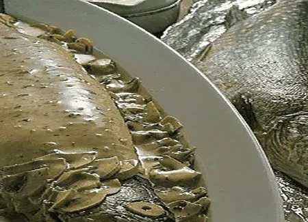 Brochet à la crème