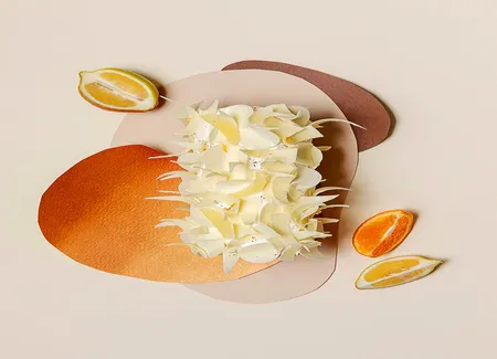 Bûche citron et orange