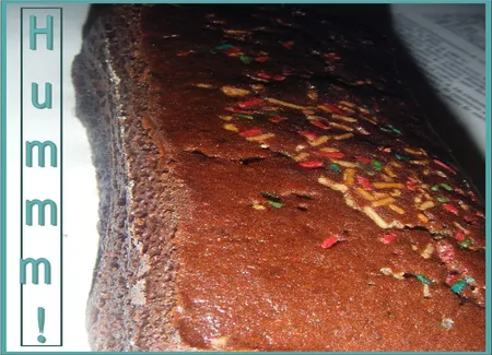 Cake moelleux au chocolat en poudre
