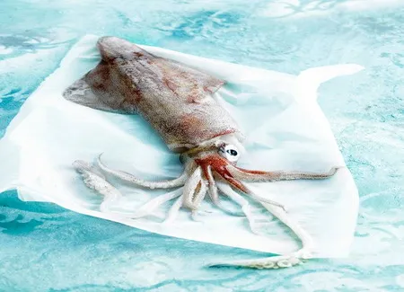 Calamars au curry rouge