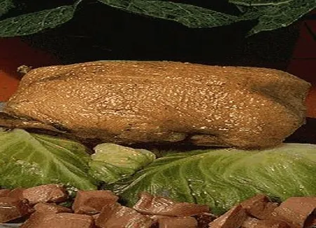 Canard aux choux