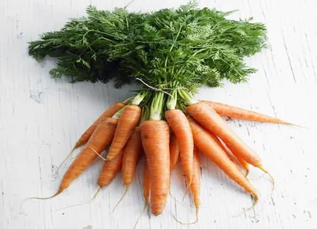 Carottes râpées au citron vert et sésame