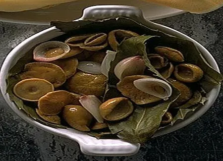 Cèpes sur lit de feuilles de châtaignier