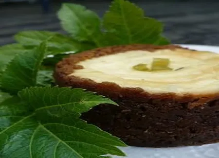Cheesecake à l'angélique confite