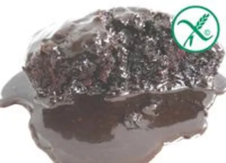 Chocolate fudge pudding