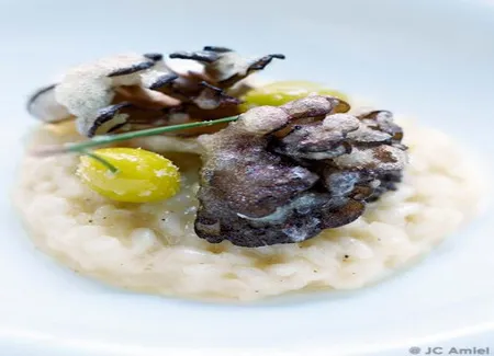 Comme un risotto, friture légère de champignons